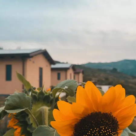Campsite Agricampeggio Sfizio Sui Nebrodi *